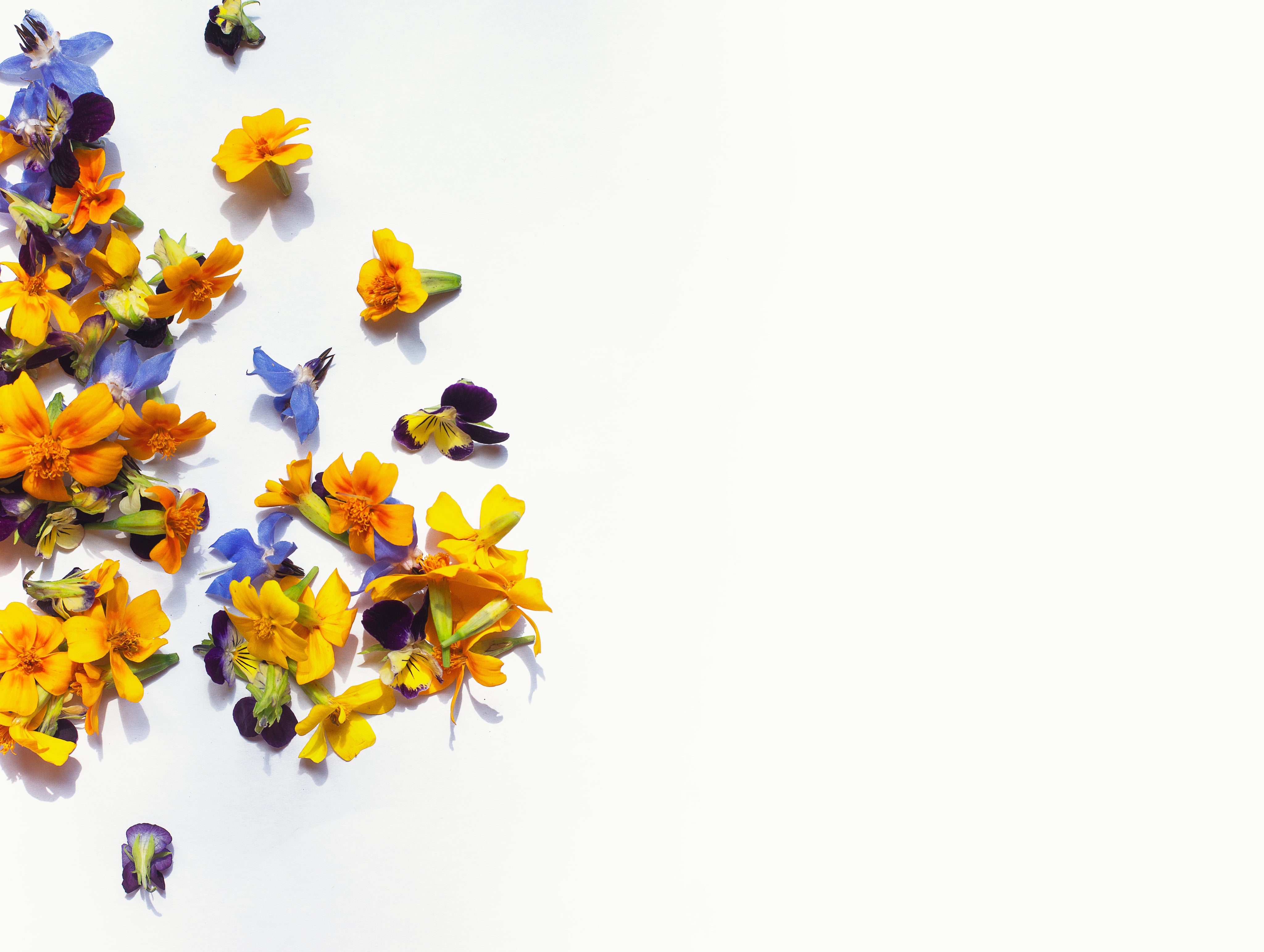 Japan Order – Hanadai Florist